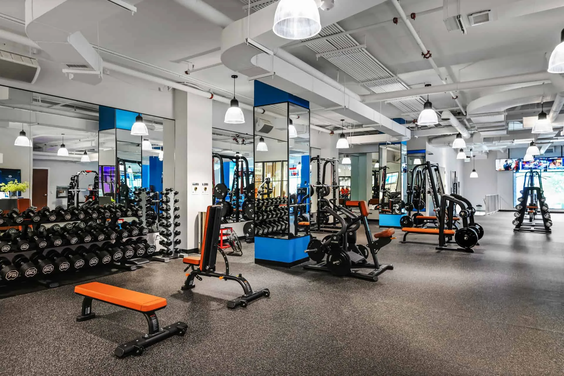 Free Weights Free Weights